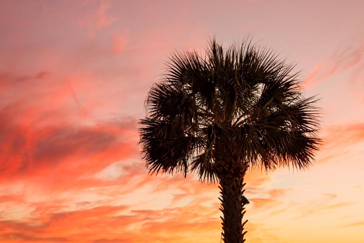 1314 Pelican Watch - Seabrook Island - Beachfront 5 Star Condo - Fido Friendly Kültér fotó