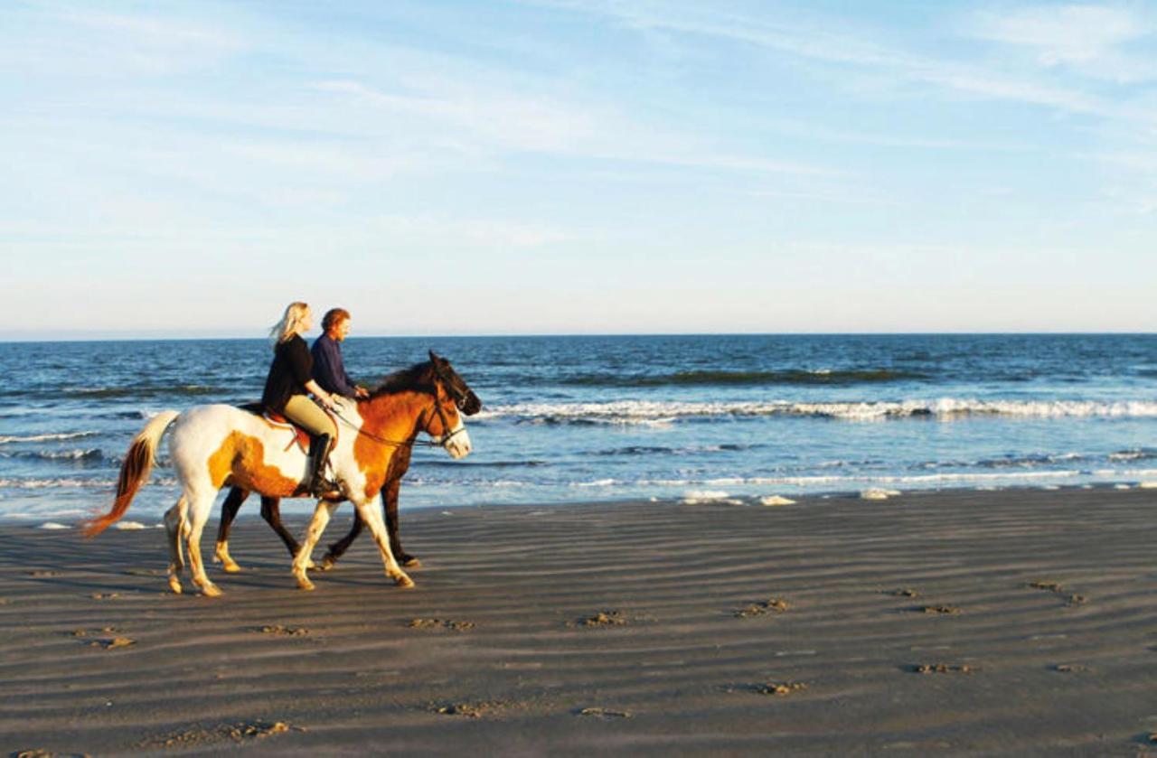 1314 Pelican Watch - Seabrook Island - Beachfront 5 Star Condo - Fido Friendly Kültér fotó